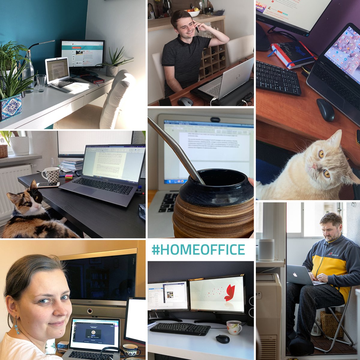 sarotapr's tweet photo. Zespół @sarotapr od zeszłego tygodnia pracuje zdalnie. Pełną wydajność gwarantują koty, #Microsoft365, yerba mate i inne atrybuty #HomeOffice. https://t.co/AtgOIERtMR