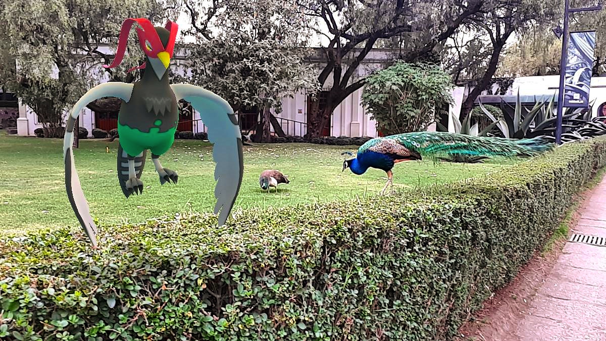 pokepoechat's tweet photo. #FelizMartes #pokeamigos #GOsnapshot #GosnapshotMX
Mucha suerte con esas capturas entrenadores #PokemonGO
Estoy enviando regalos en orden alfabético a todos ustedes, aún puedo agregar algunos amigos mas, por favor si requieren obsequios déjen aquí su código #MexicoUnido https://t.co/XSoljgaEPh