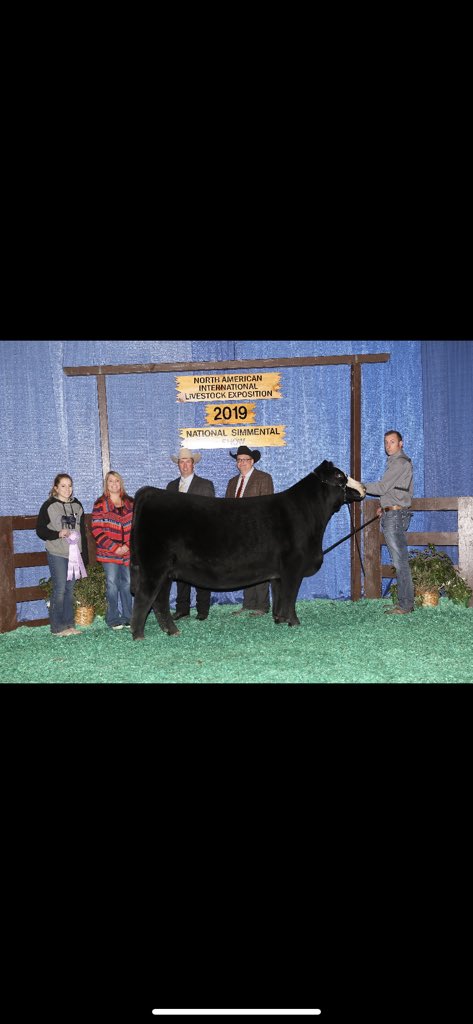 Sale ends tonight!
Shaeffer/Tice Egg Hunt on 
auctions.thewendtgroup.com/auction/7172/1…
Sexed IVF Female Embryos on my girl Leapin Mary