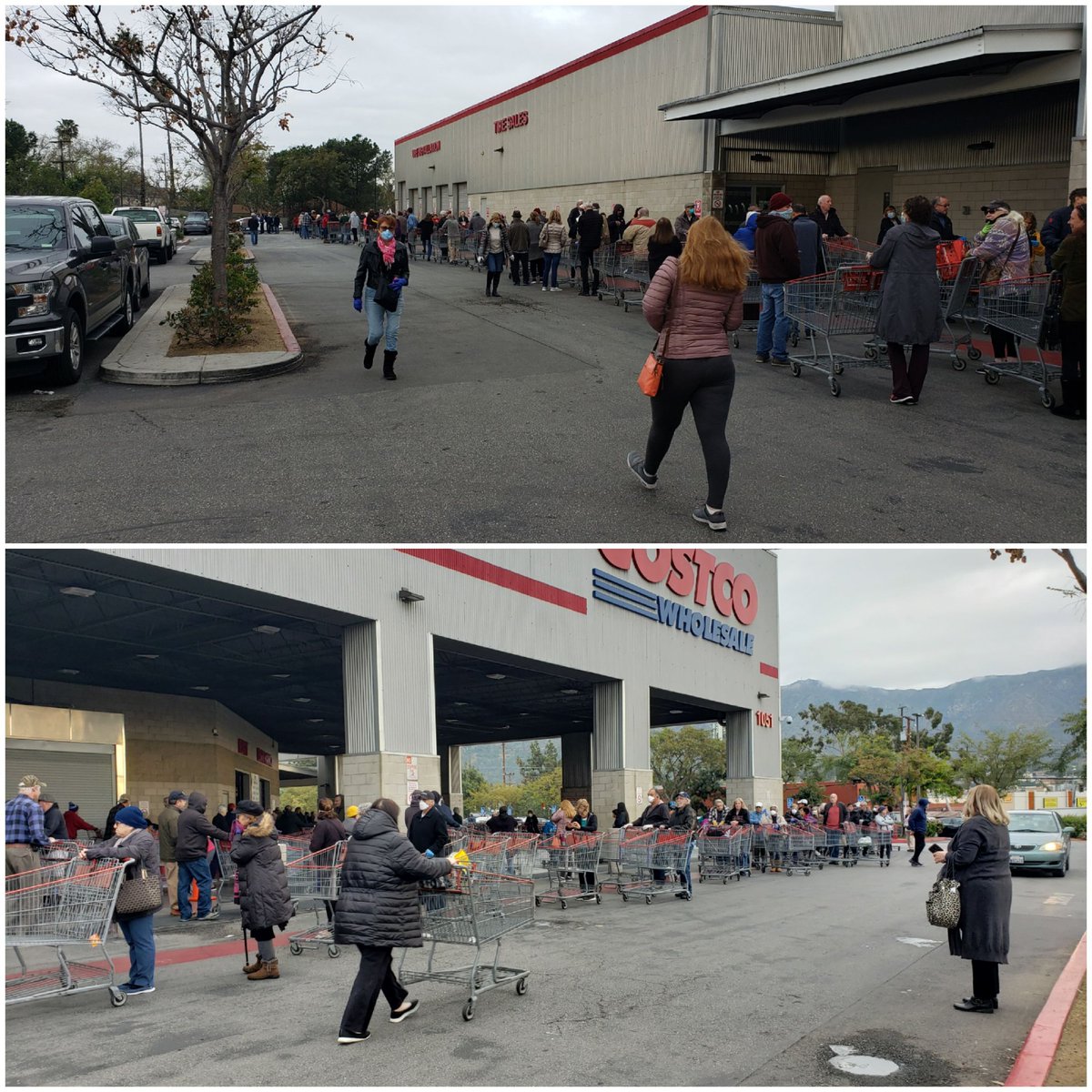 patrika darbo on twitter 8 am senior time at burbank costco the line down then circled back up lots of seniors not 6 feet apart so we went home not really we