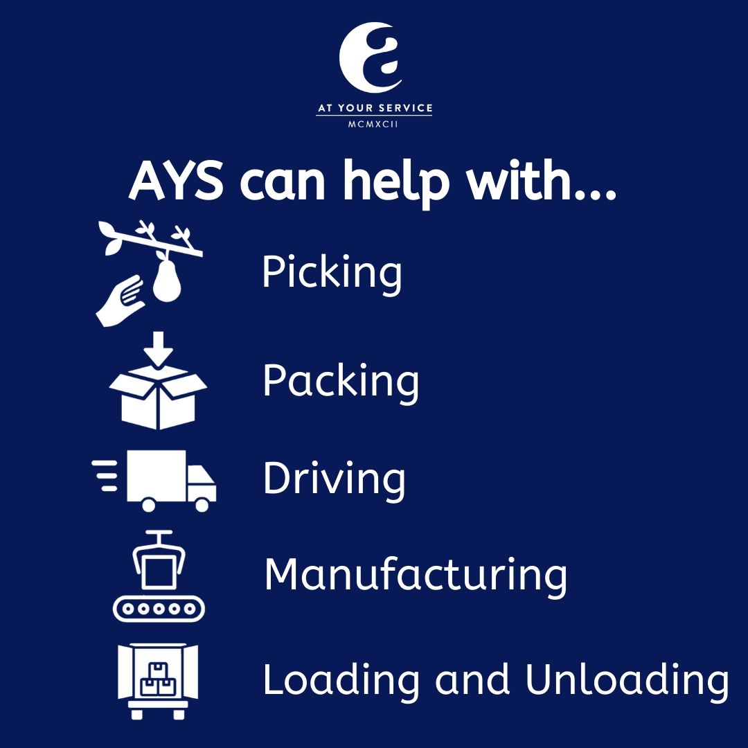 During this challenging time we are aware people are working around the clock in many industries. If AYS can help or support you or your business in any way and make your life easier, please get in touch +44 (0) 7979900161 or email us at enquiries@ays.co.uk.

#covid_19 #stayhome