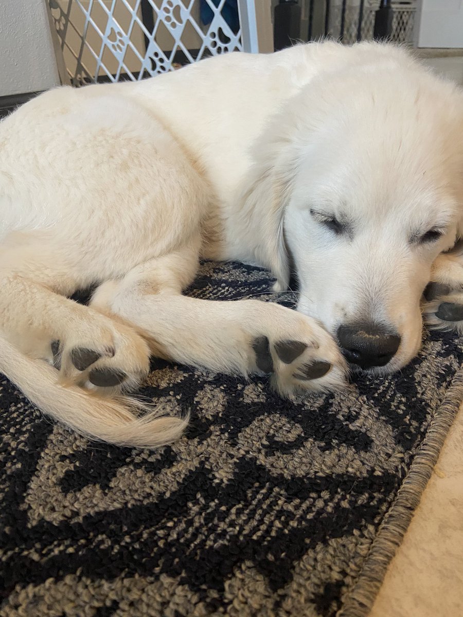 MrsSextonFirst's tweet photo. Team meeting this morning and my coworker was falling asleep! https://t.co/2bZjdF3CGa