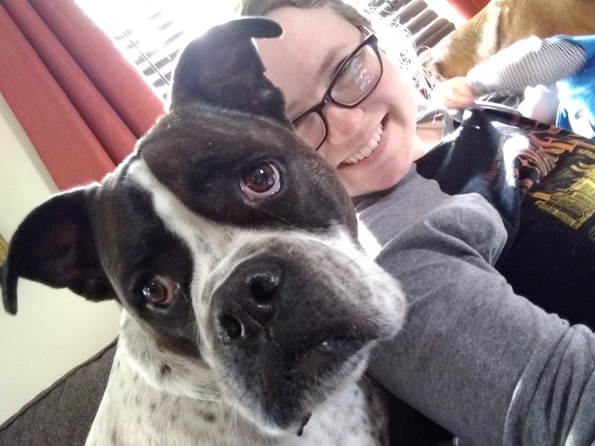 AiellosClass's tweet photo. Pose with your pet day! Bubba protects us by barking at people walking on the street and Holly always wants butt scratches!! @arborviewptc https://t.co/shRfBLDOWn