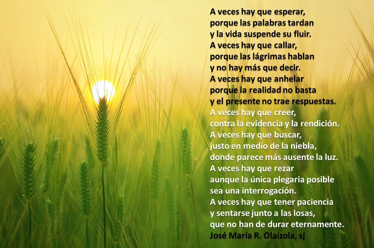 martaroldanh's tweet photo. Días con tiempo de revolver, descubrir y compartir #deustoinnova #deustoberrikuntza #deustoenmarcha https://t.co/bhaAtCoGvx