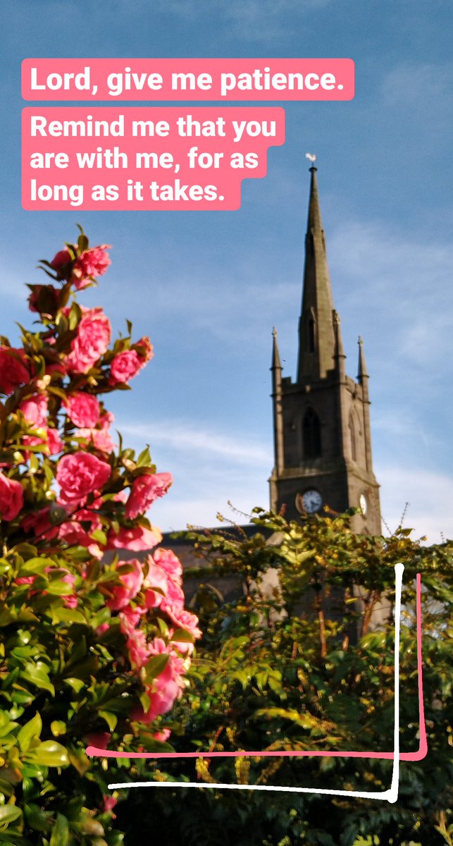 TurtonTeamRector tweet media