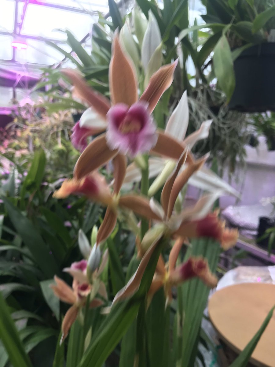 Dave Castro tweet media