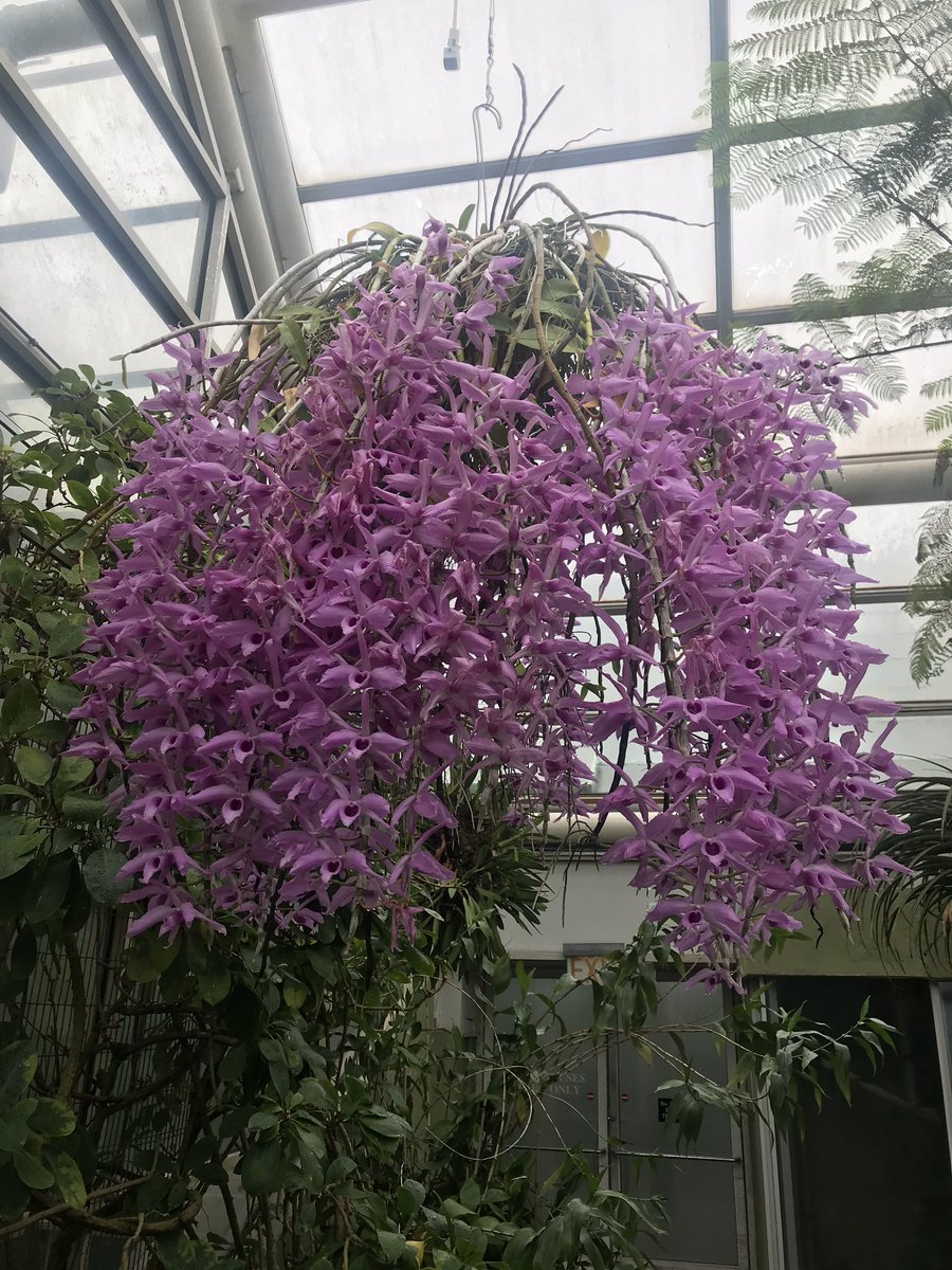 Dave Castro tweet media