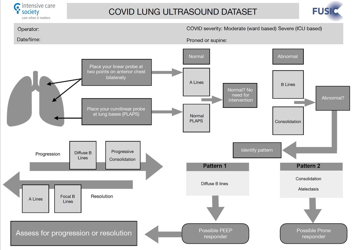 Lucrecia M. Burgos, MD tweet media