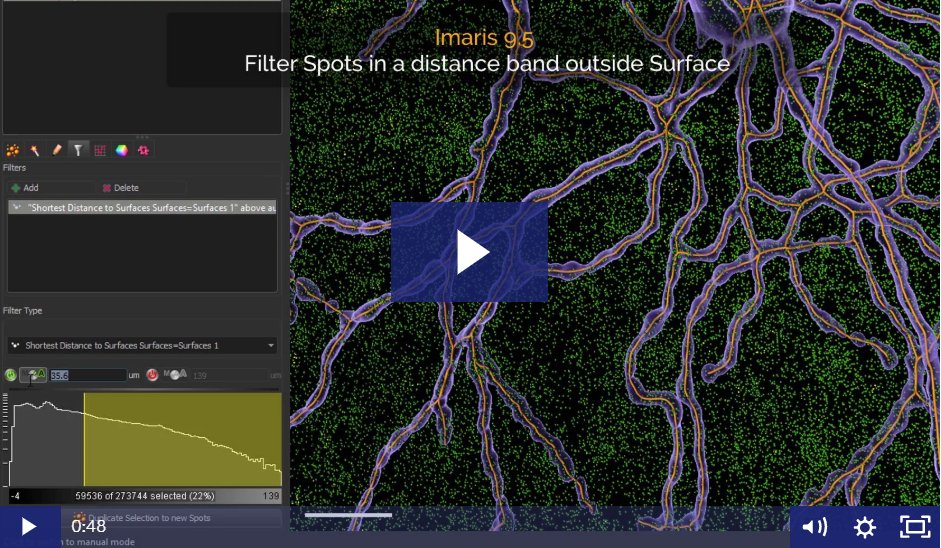 ImarisSoftware's tweet photo. Want to count objects in a specific band around another object?
Watch our NEW tutorial >> https://t.co/Nxw4sd5HSZ
#Imaris95 #ImarisLearning https://t.co/irVE1NdtYb