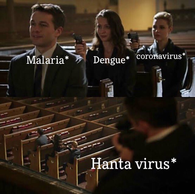 ItsUbaidIsmail's tweet photo. Bacterias right now!!
#Hantavirus #PakistanArmy #COVID19Pakistan #LockdownNow https://t.co/4sTHHn77Xa