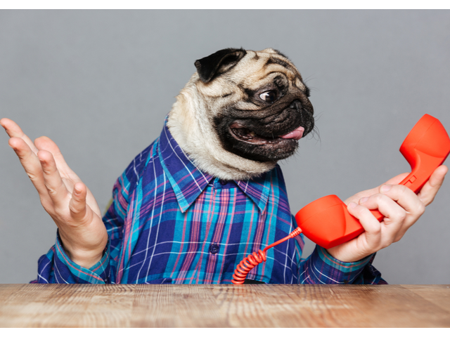 B2B Influencers vs. Brand Advocates: What’s the Difference? #b2b #marketing dlvr.it/RSSmLY