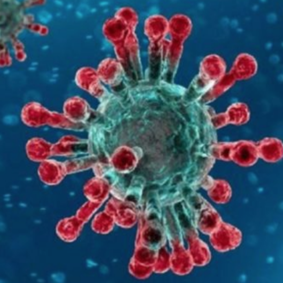 BrainForum's tweet photo. Usiamo il cervello, di Viviana Kasam 
Perché non cogliamo l'occasione della diffusione dell'epidemia per riflettere sul nostro mondo e sui modi in cui viviamo? 
https://t.co/BLgT4OAv6s https://t.co/veOZOBA5H4