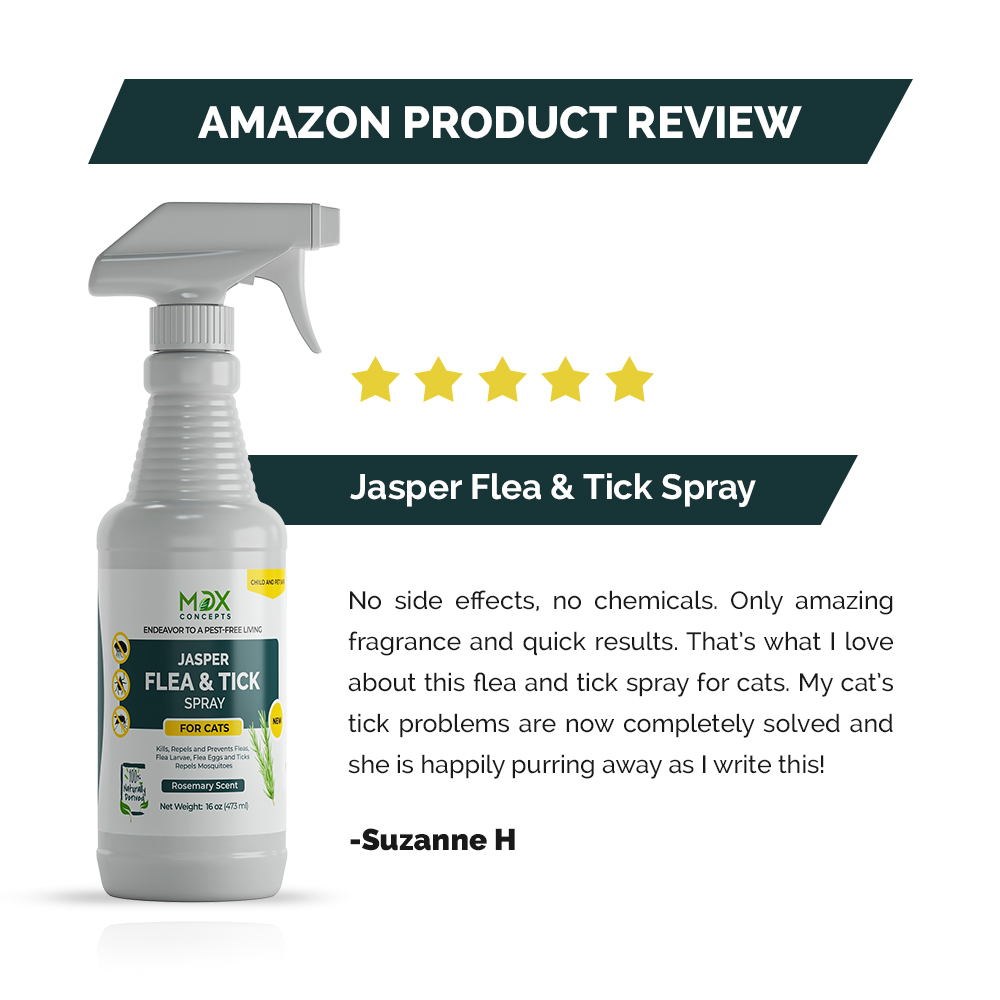 mdxconceptsUS's tweet photo. "Kind words do not cost much. Yet they accomplish much" - Blaise Pascal.

Thanks, Suzanne for the review.

#testimonial #customerreviews #satisfiedcustomer #happycustomer #makadyshop #mymakady #makady #makadyhaven #coronavirusitalianews #coronausa #coronaupdates https://t.co/wpkVKwx0kA