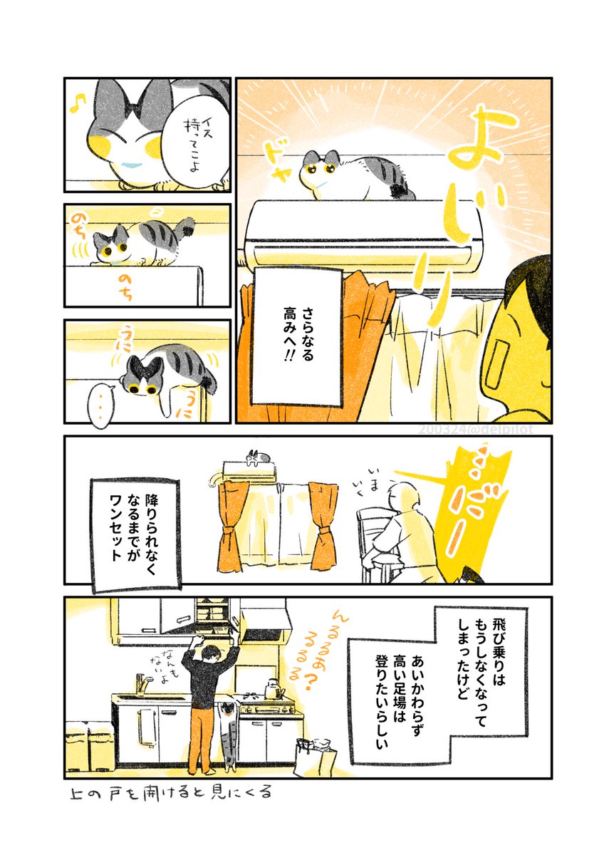 とにかく高いところに上りたい だけど という若かりし頃の猫さんの話 に ー で和んだ Togetter とにかく高いところに上りたい だけど という若かりし頃の猫さんの話 に ー で和んだ Togetter