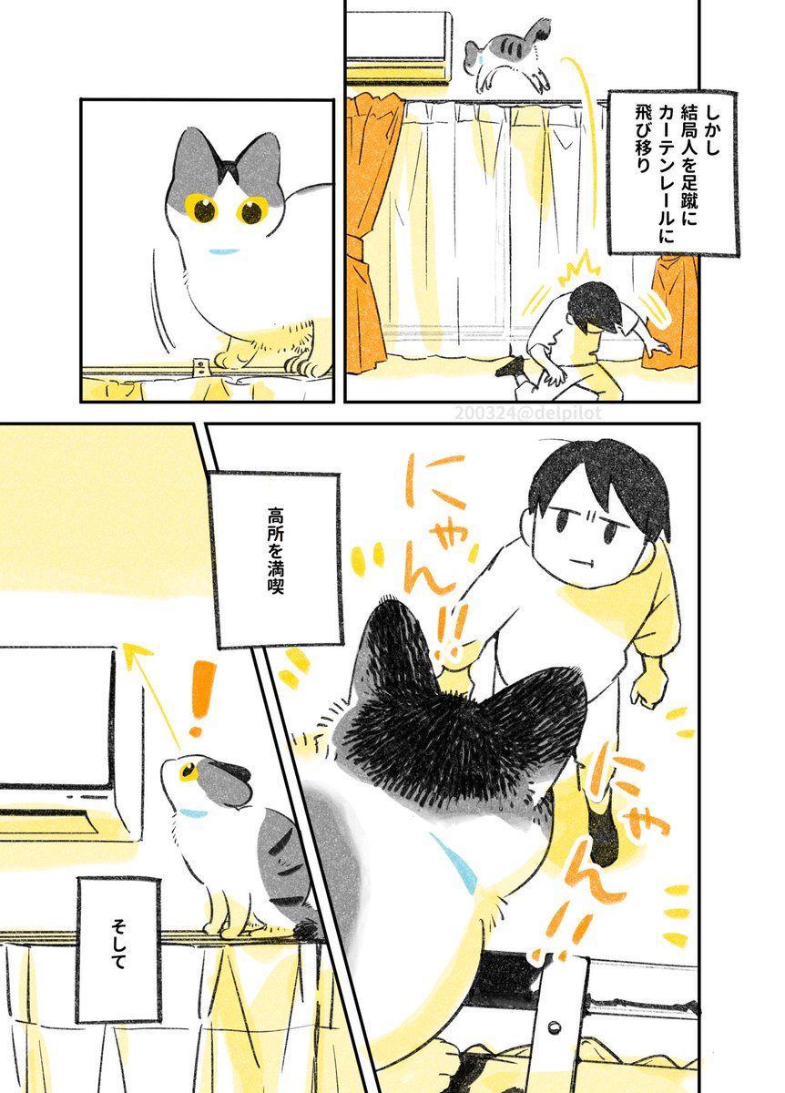 とにかく高いところに上りたい だけど という若かりし頃の猫さんの話 に ー で和んだ Togetter