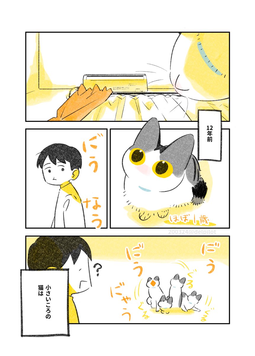 高い所にとにかく上りたいちびの時の猫。レールはいつのまにか上らなくなってた 