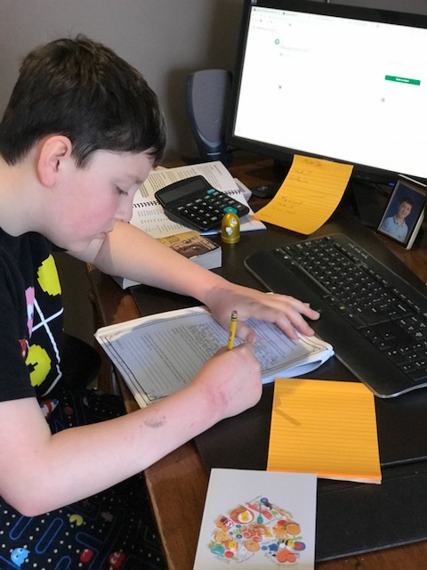 OLOM School tweet media