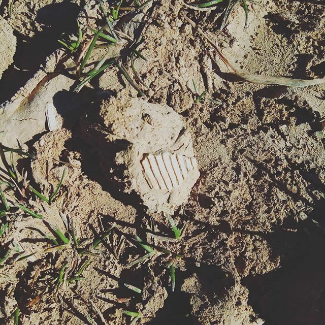 #piccolodiariosottocasa

Cercare dove c'era il mare

#dottorcardoso #piccolodiariosottocasa #quarantena #cretesenesi #igerstoscana #igerstuscany ift.tt/2QIhEcI
