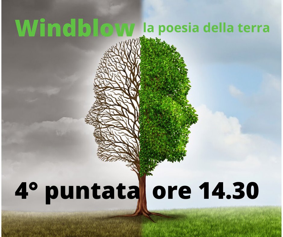 TANGRAMTEATRO's tweet photo. Quarta puntata dello spettacolo Windblow – la poesia della terra

Mettiti comodo lo spettacolo sta per iniziare ;-)

Guarda qui https://t.co/3XuHHmY1Sm

#ilteatrodacasa
#iorestoacasa https://t.co/B3zhIBTsV6