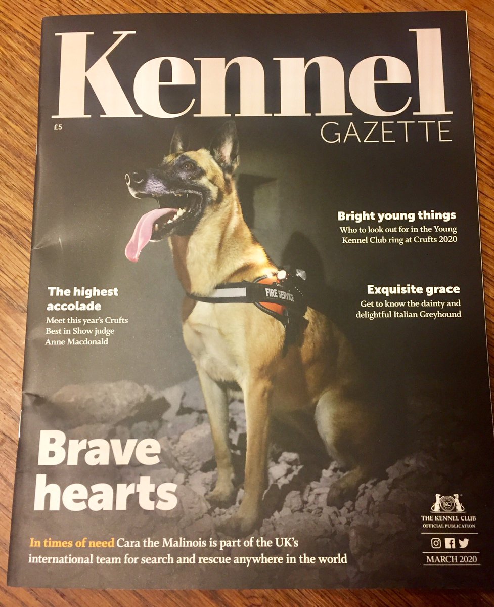 wmfsUsarDog's tweet image. So...while at home, why not catch up with the new @TheKennelClubUK magazine...we’re very pleased and proud to say that we made the front cover😊🐕👨‍🚒 there’s a great article inside about us! Stay safe everyone, we are in this together ❤️@WestMidsFire @UK_ISAR_TEAM #InThisTogether