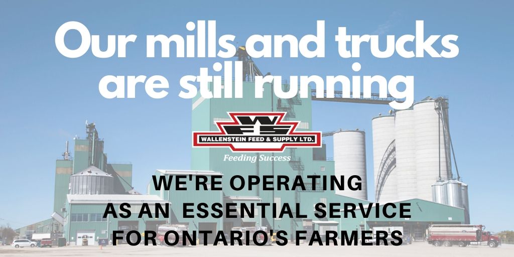 Amid closures announced today to control the spread of COVID-19, the Ontario government declared businesses such as <a href="/WallensteinFeed/">Wallenstein Feed & Supply Ltd.</a> an essential service.
Our mills continue to run and we’re still delivering feed to customers.
Be strong. Be well. Stay safe.