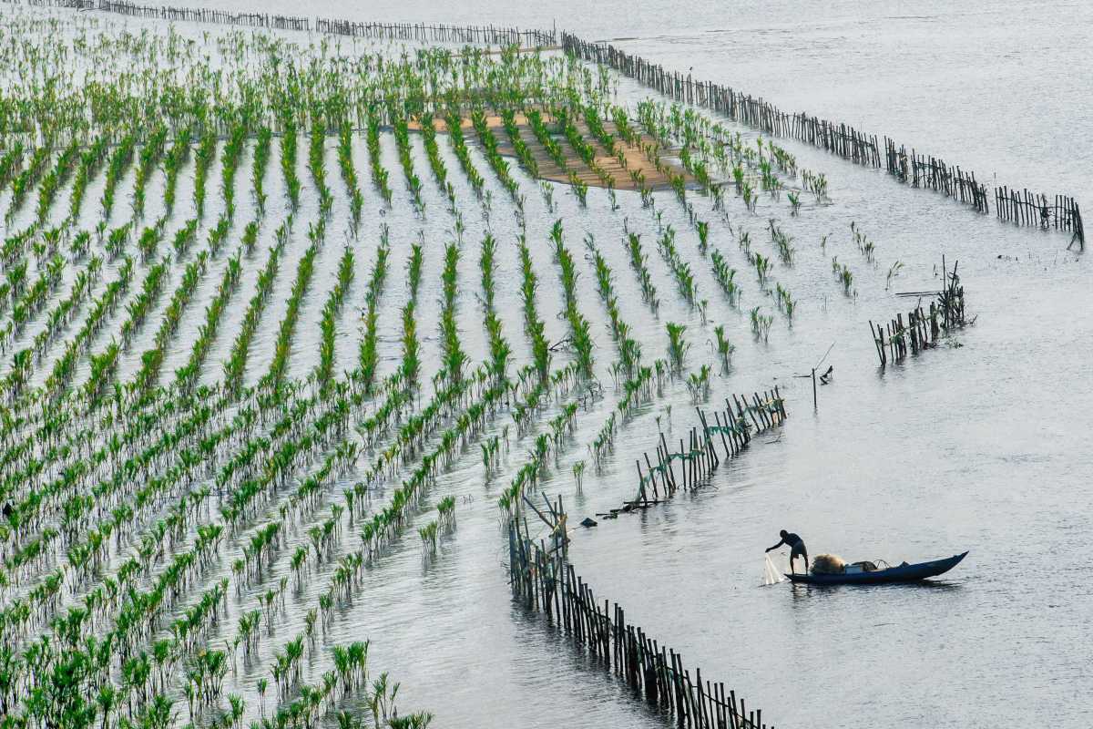 MenorcaBiosfera's tweet photo. The World Network of Island and Coastal #BiosphereReserve @UNESCO_MAB expands with 5 new members🌍. 
💚A warm welcome to: Great Sandy (Australia), Cascade Head (USA), Cu Lao Cham-Hoi An (Vietnam), Georgian Bay (Canada) and Seaflower (Colombia). More info: https://t.co/f6N33nXRok https://t.co/pLWV2MtQas