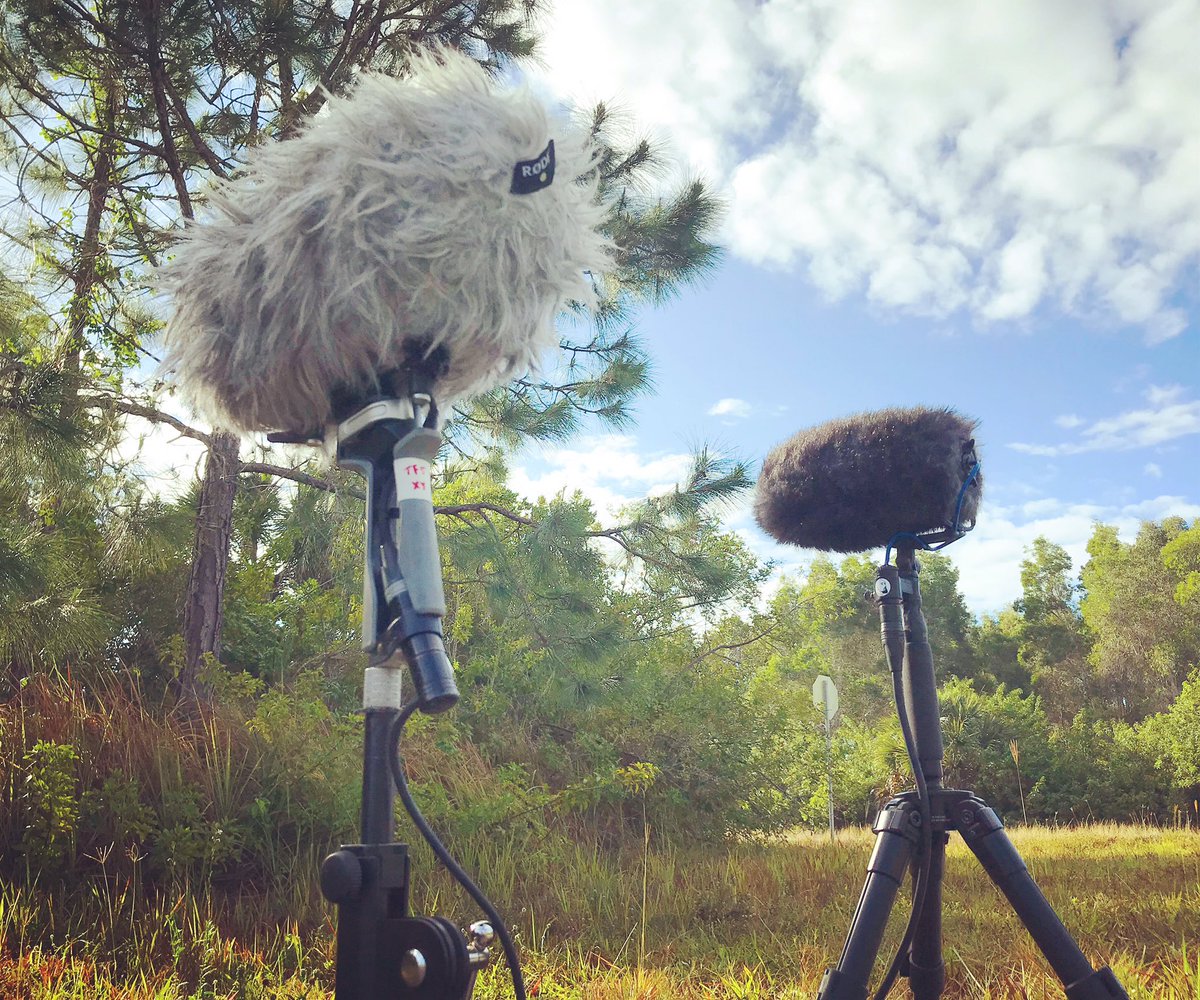 watsonwu's tweet photo. Ambience recording using the RØDE TF-5 mics & Sanken CMS-50.
.
#rodetf5 #rodemic #rodemicrophones #sankencms50 #cinelacosi #midside #midsiderecording #minimerodeblimp #ambience #soundeffects #sounddesign #fieldrecording #traveler https://t.co/hpdu6v6kmS