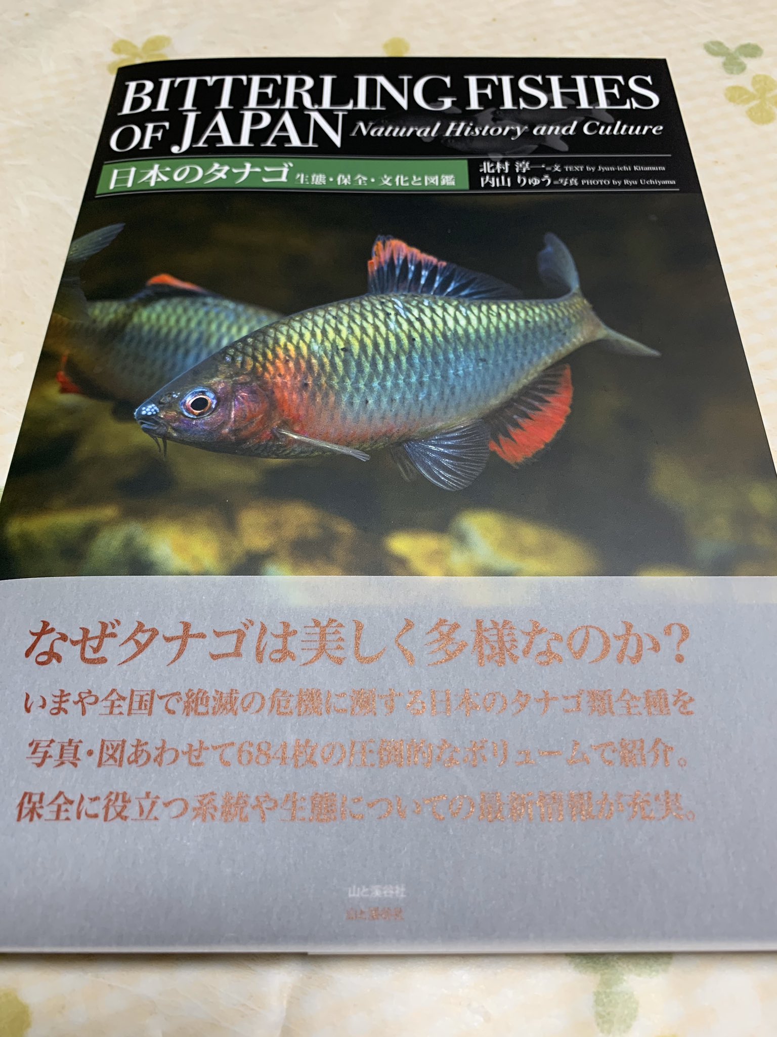 日本のタナゴ Twitter Search Twitter
