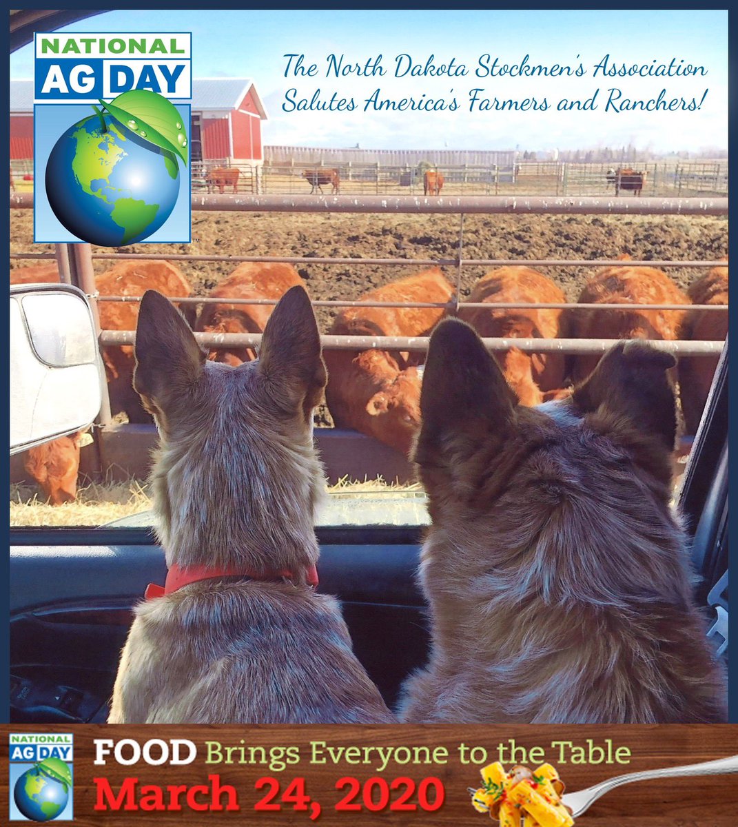 On this National Ag Day, the North Dakota Stockmen's Association salutes the men and women who report to work each day to put food on the world's table. Photo credits: Amy Smith #thankafarmer #NationalAgDay