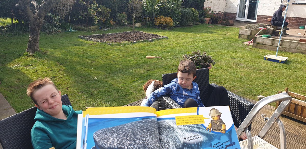 lauralizzylee's tweet image. @HMillSchool afternoon schooling in the garden #ukelesson #deepsea