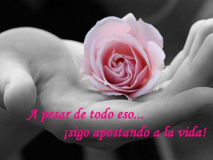 lunaarcanos (@lunaarcanos) on Twitter photo 