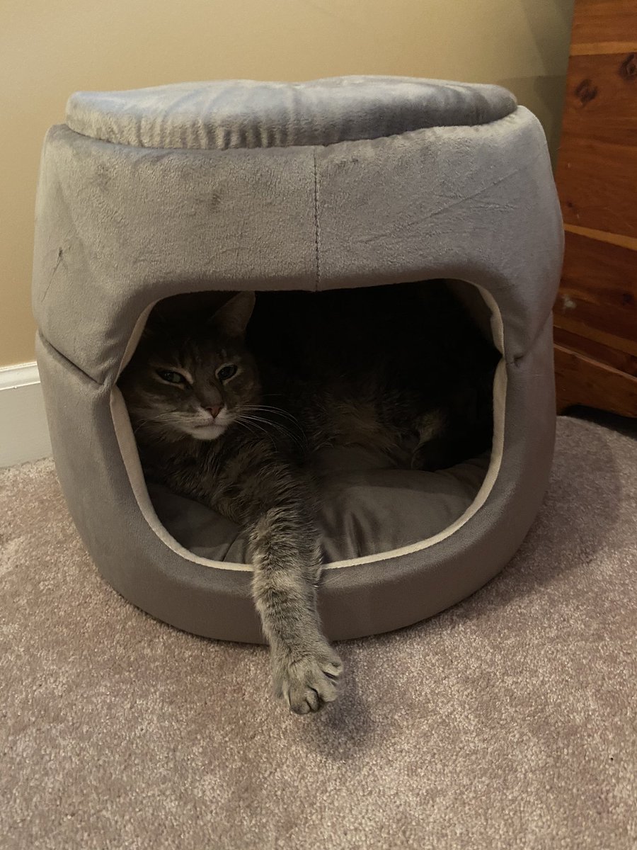 Mrs. Reber tweet media