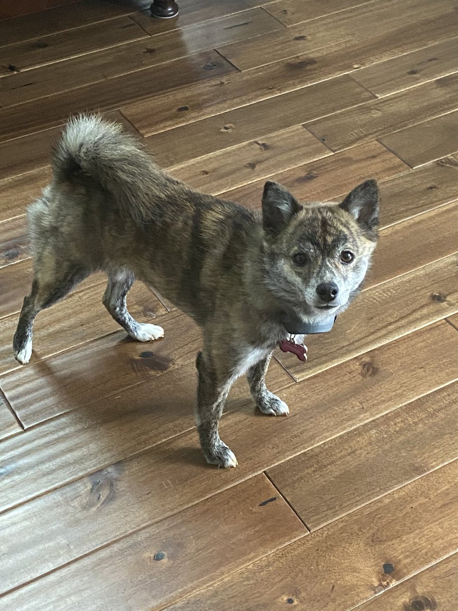 Mrs. Reber tweet media