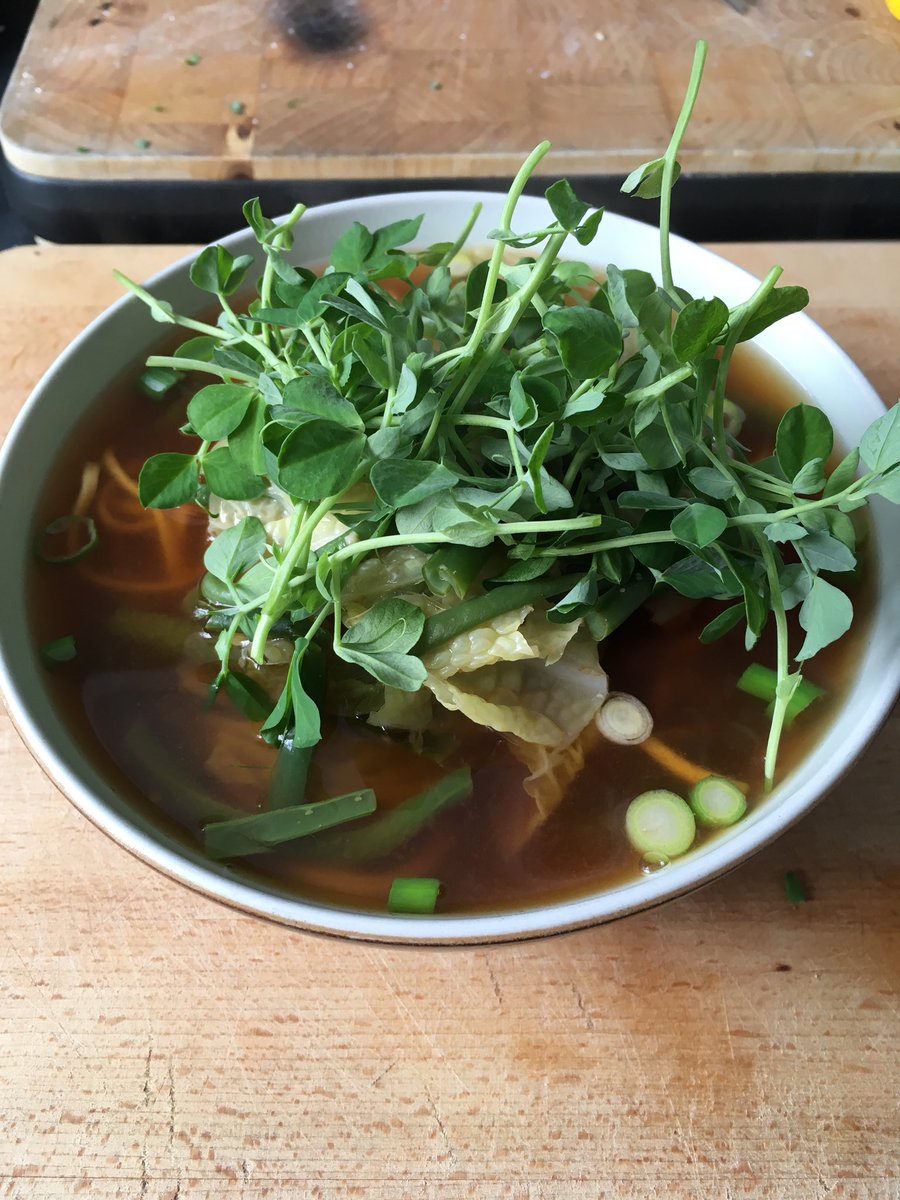 MrMicrogreen's tweet image. Mr Microgreens Lockdown Lunch. Pea shoots on miso broth. Great way for kids to be involved in growing food. #foodsecurity #mrmicrogreen #growyourown #growiteatitloveit