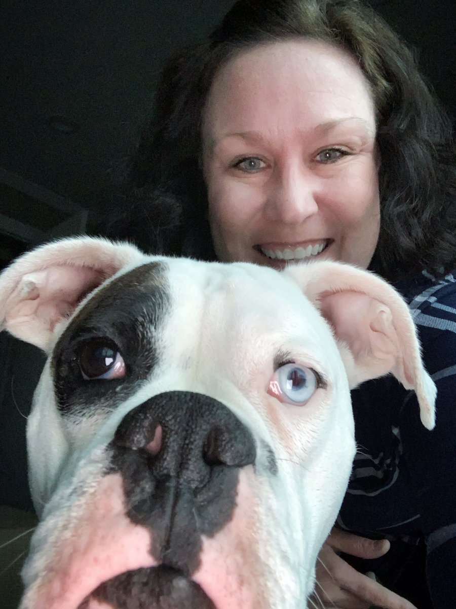 Arbor View’s “Pose with your Pet Day” Virtual Spirit Week! Say hi to Craig the boxer!! <a href="/ArborViewSchool/">Arbor View School</a> <a href="/arborviewptc/">arborviewptc</a>