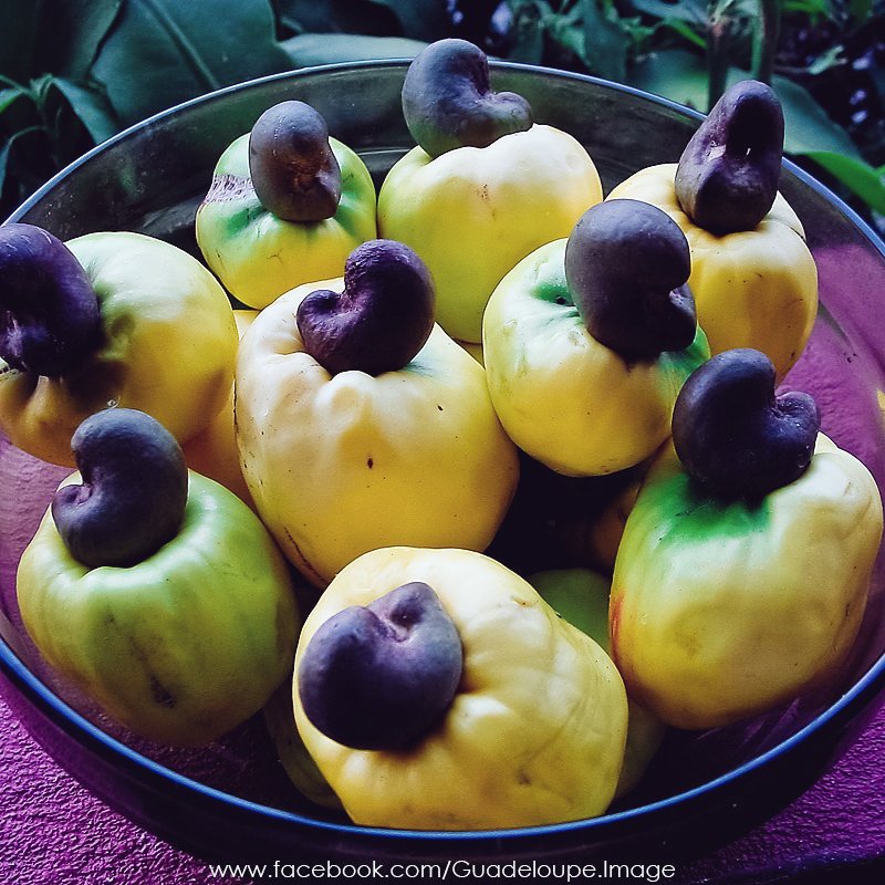 Mlle_MMA's tweet photo. #LeSaviezVous Le jambosier rouge nous donne des pommes malacca et l'anarcadier des pommes cajou. 

S'il fallait choisir...  Vous seriez  plutôt malacca ou cajou ? 

🔄 RT pour les pommes malacca
❤ FAV pour les pommes cajou 

#Guadeloupe #RestezChezVous  
#CulturezVous #Fooding https://t.co/AncA6T4Goo