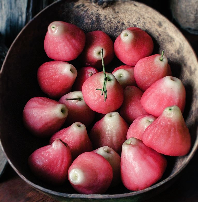 Mlle_MMA's tweet photo. #LeSaviezVous Le jambosier rouge nous donne des pommes malacca et l'anarcadier des pommes cajou. 

S'il fallait choisir...  Vous seriez  plutôt malacca ou cajou ? 

🔄 RT pour les pommes malacca
❤ FAV pour les pommes cajou 

#Guadeloupe #RestezChezVous  
#CulturezVous #Fooding https://t.co/AncA6T4Goo