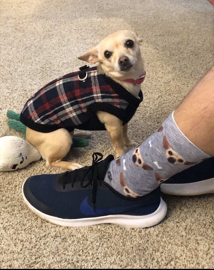 Crazy Sock Day! Time to walk the dog. <a href="/Mehlville_HS/">Mehlville High School</a> #WeAreMehlville  #PanthersNotOnTheProwl