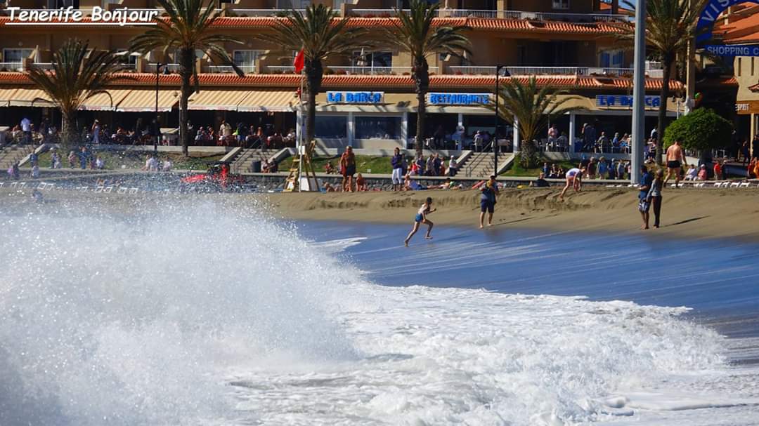 TenerifeBonjour tweet media