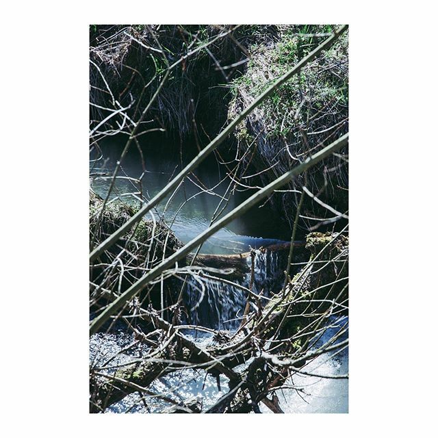 MarthaRosePhoto's tweet photo. Stream 💙 - Mar 2020
-
-
-
-
-
-
-
-
-
-
#nature #naturelovers #minimalmood #minimal_perfection #etczine #landscapephotography #landscape #germany #deutschland #bavaria #bayern #minimalove #landscapelovers #landscapes #minimalblu #minimal_perfection #… https://t.co/or7ETs3NQx https://t.co/STWRKBrmQj