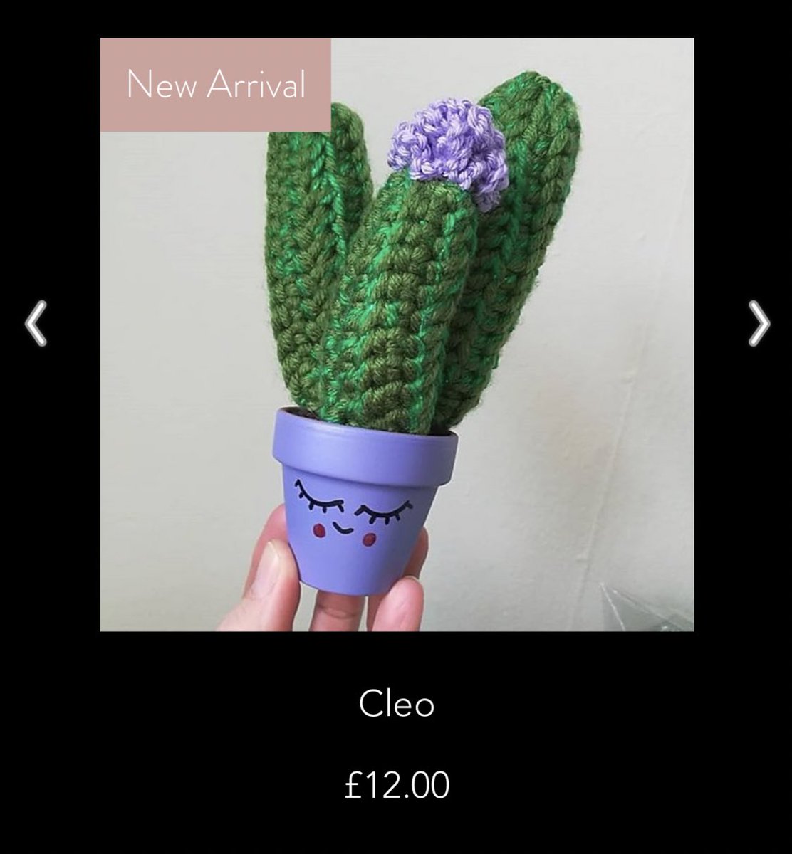 Evie beeley tweet media