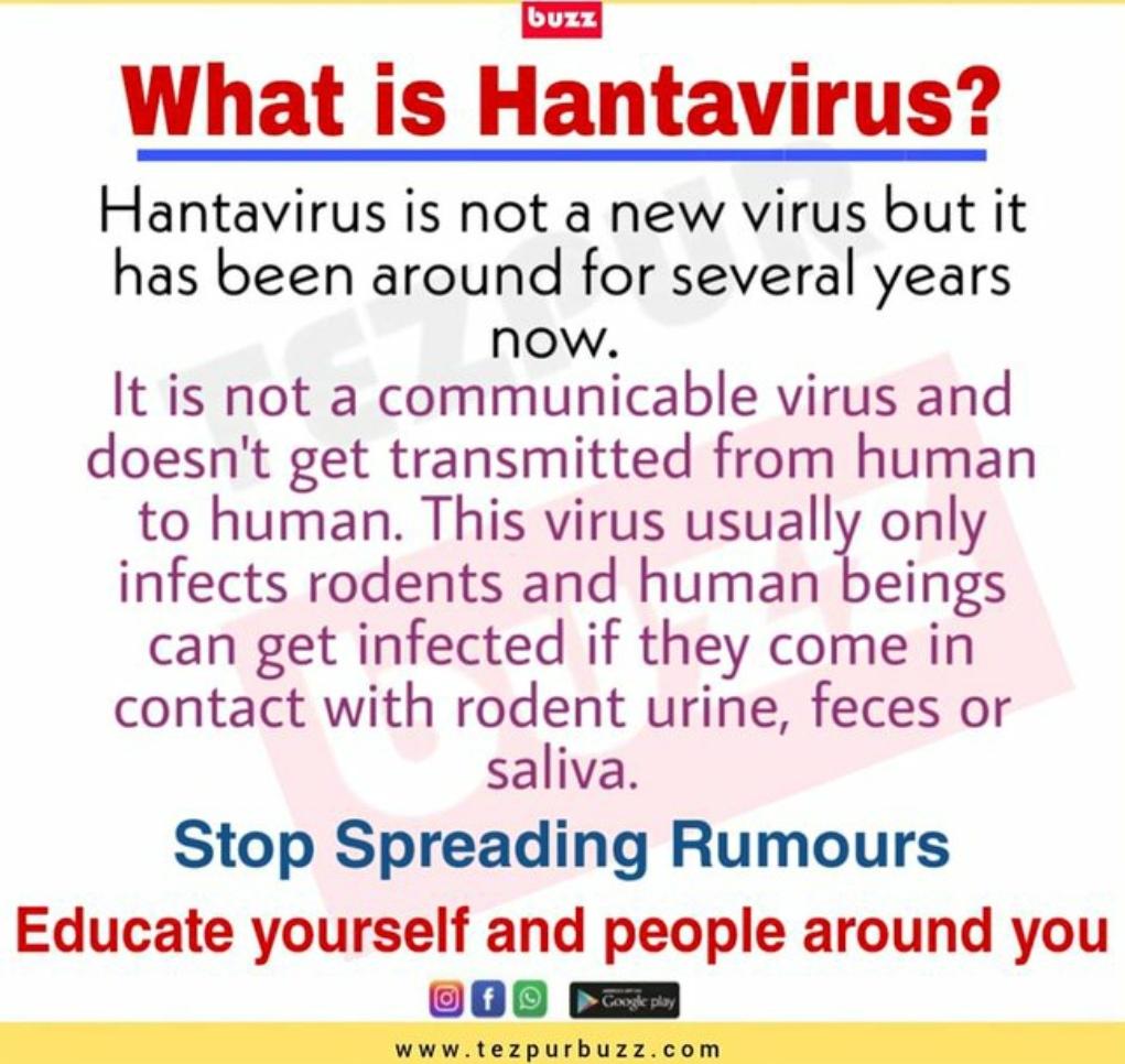 Belum Habis Virus Corona, Terbitlah Virus Hanta