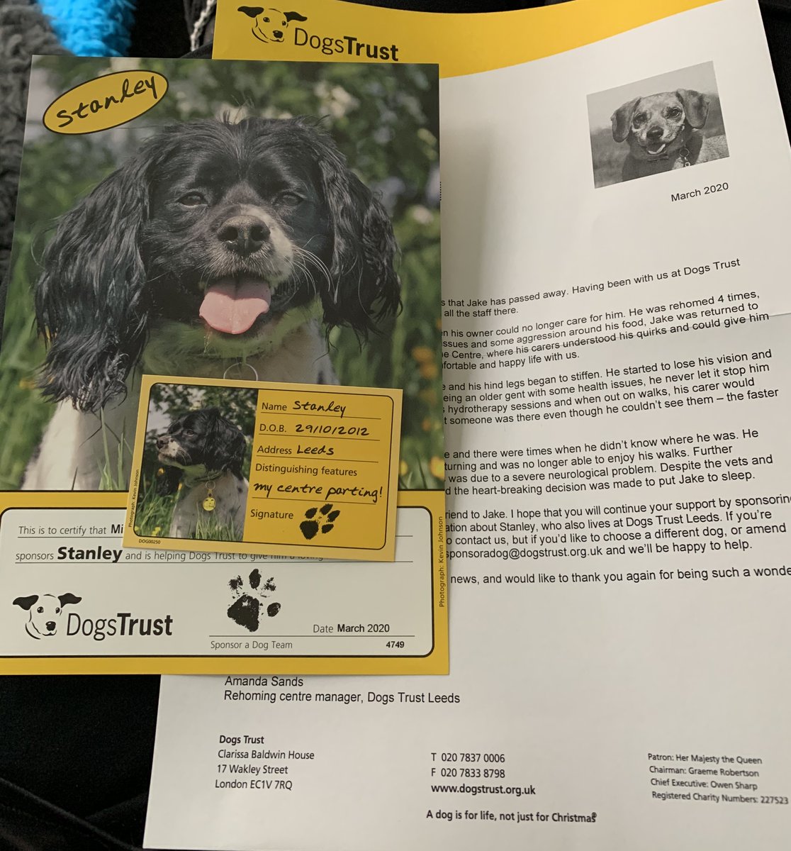 orpheous87's tweet image. Aw, sad news from @DogsTrust today that Jake, my little sponsor dog has passed away 😔 BUT I am now proudly sponsoring Stanley from @DT_Leeds! #stantheman #ripjake