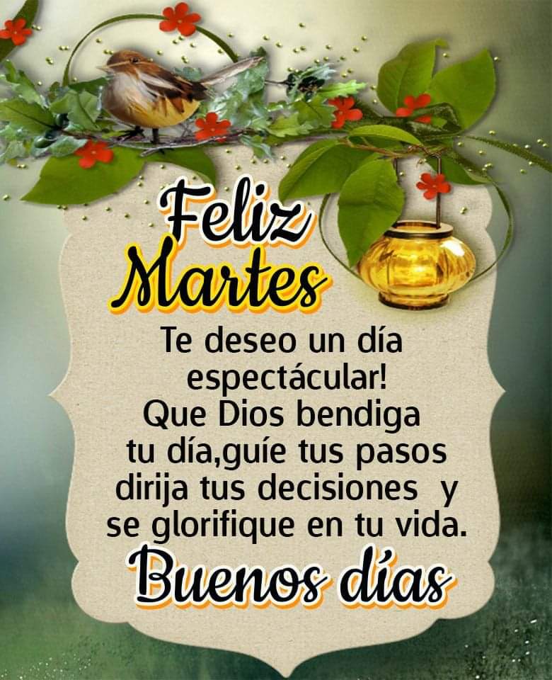 X \\ Violeta على تويتر: "@clau_eddy2206 Hola hermosa feliz martes lleno de  bendiciones... https://t.co/8CsPLzqCPb"