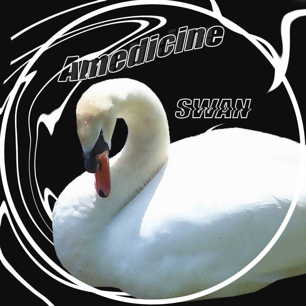 𝐒𝐓𝐅 𝐔𝐧𝐢𝐯𝐞𝐫𝐬𝐢𝐭𝐲 tweet media