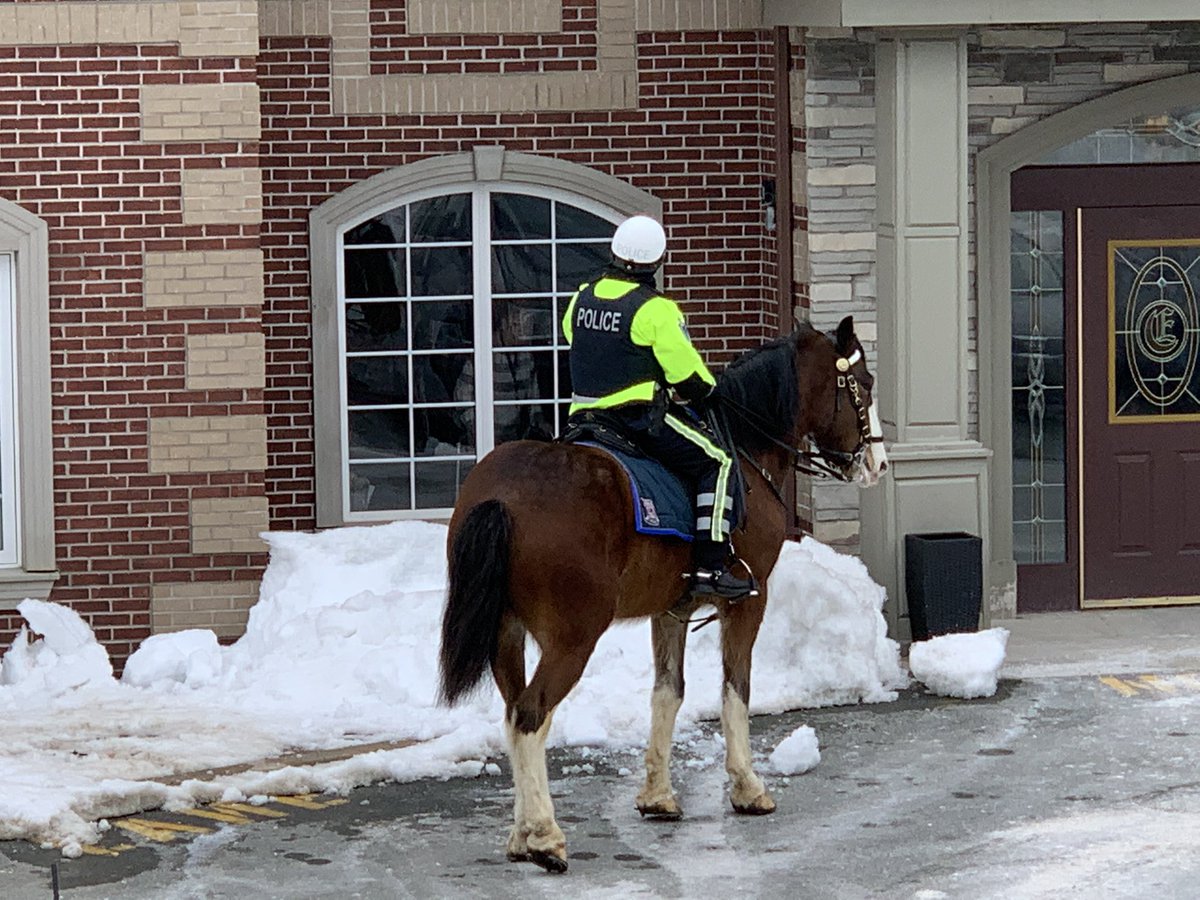 Shelley7145's tweet photo. Hats off to @RNC_PoliceNL for community support. Watched this officer go to each window and wave to the residents. ❣️ Cambridge Estates. https://t.co/Tuy5cUwGQz