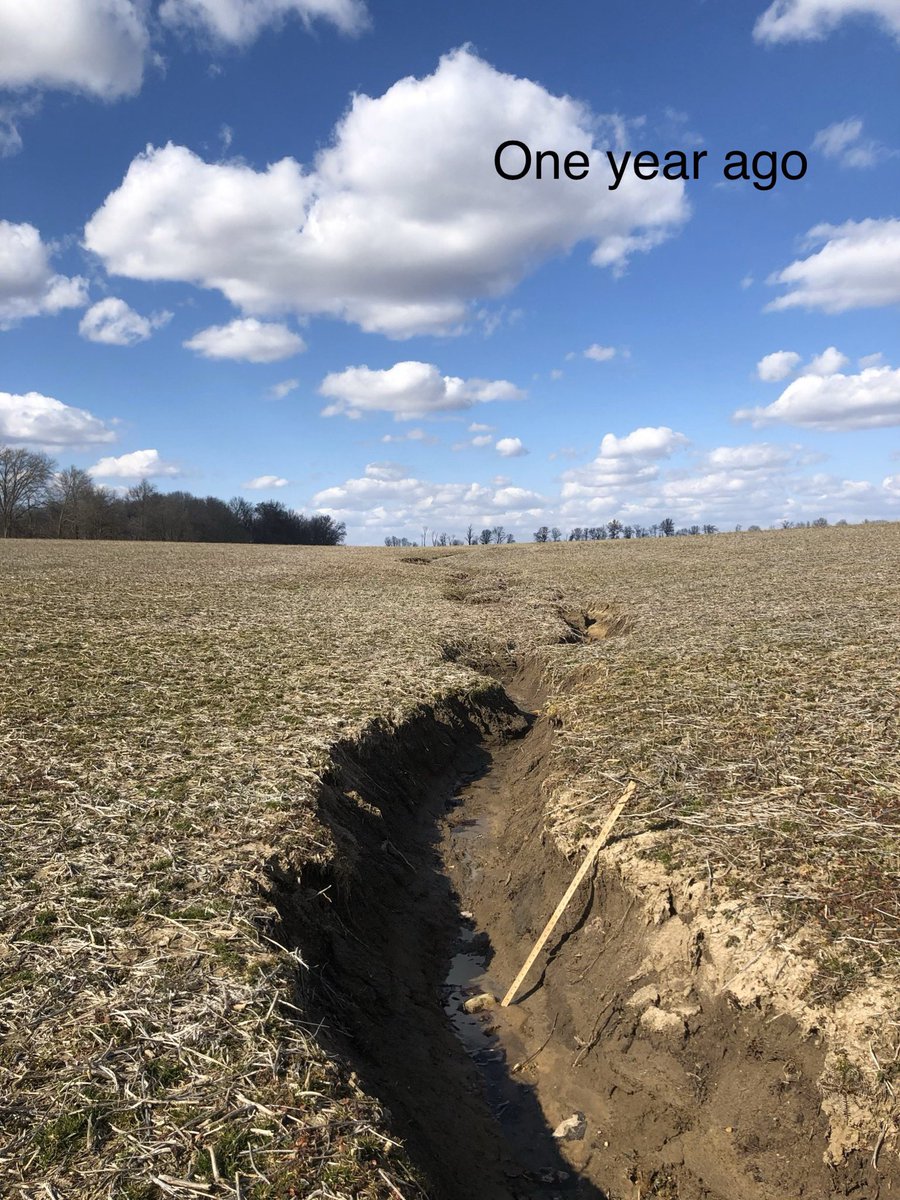 SWCoverCrop's tweet photo. No-Till Isn’t Enough.  One IL farmer wishes more steps were taken (like #covercrops) on their HEL ground a couple years ago.  Year 1 = 3’ deep ravine; Year 2 = “better farm around it”; Year 3 = another fork of the Little Wabash River.  Stay tuned.... https://t.co/n8Vj7TN8Qz