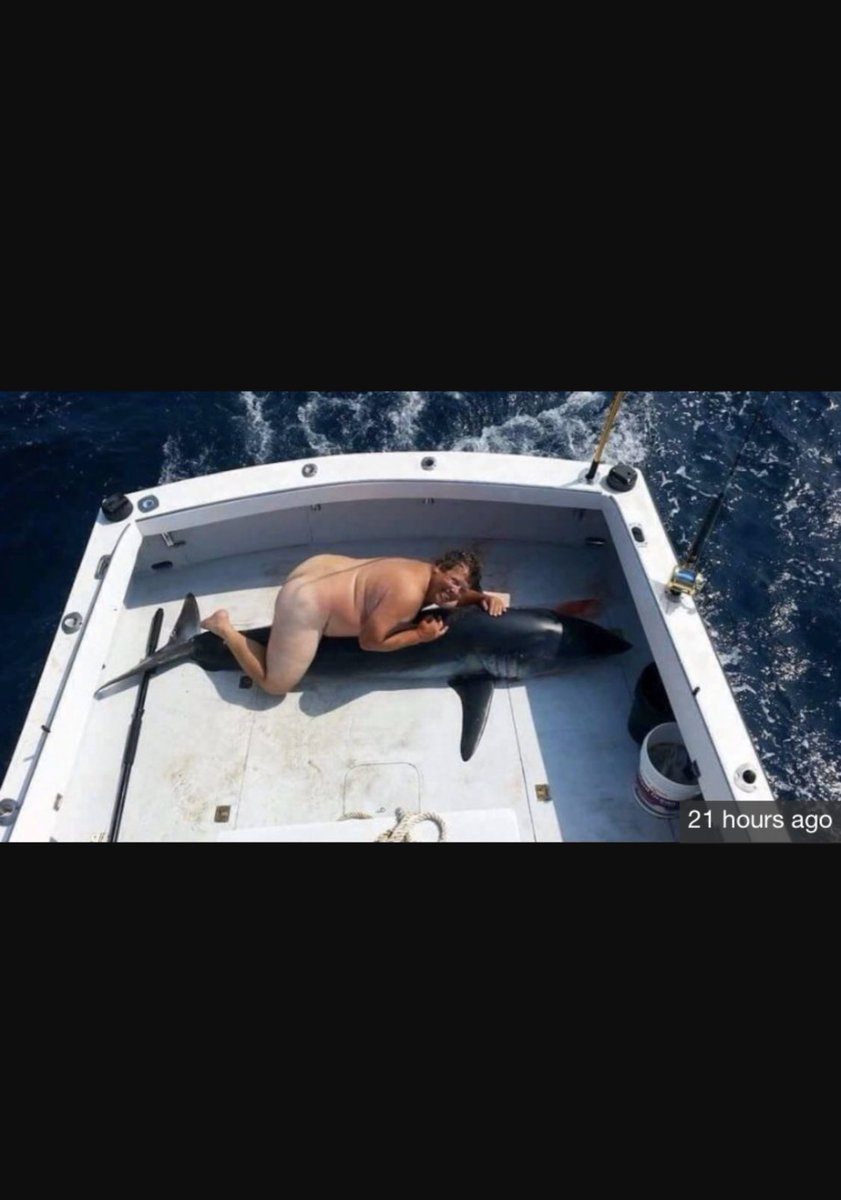 LKOUTDB's tweet image. 