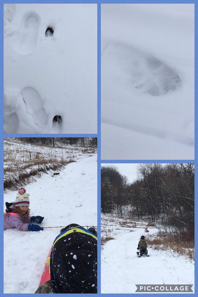 MrsSarahCassidy's tweet image. Today’s outdoor adventure led to comparing size of foot prints and measuring who could go the fastest down the hill! It wasn’t me!
#getoutside