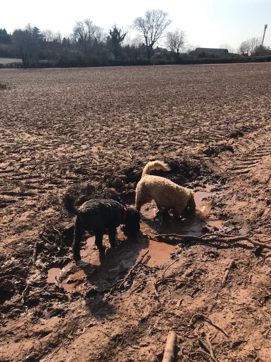 Fairfield Spencer Academy tweet media